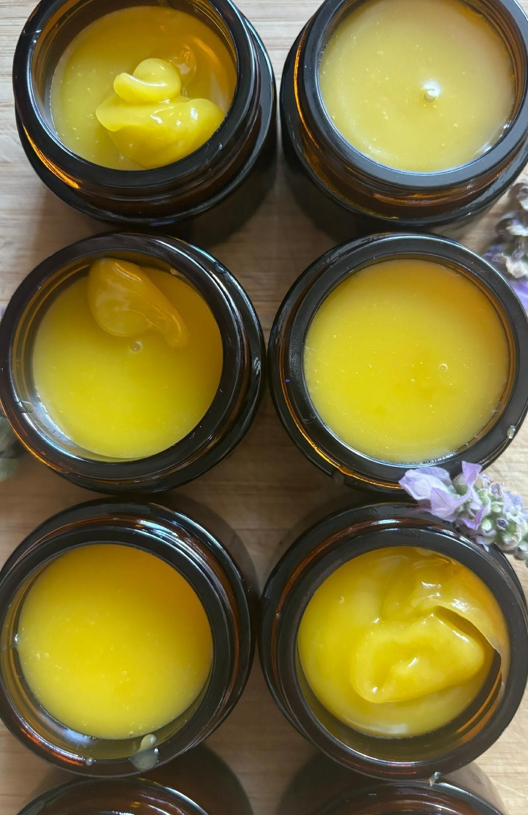 Skin Repair Salve – Bee Propolis &  Manuka Honey